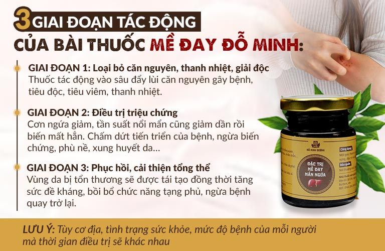 Giai đoạn tác động của bài thuốc Mề đay Đỗ Minh