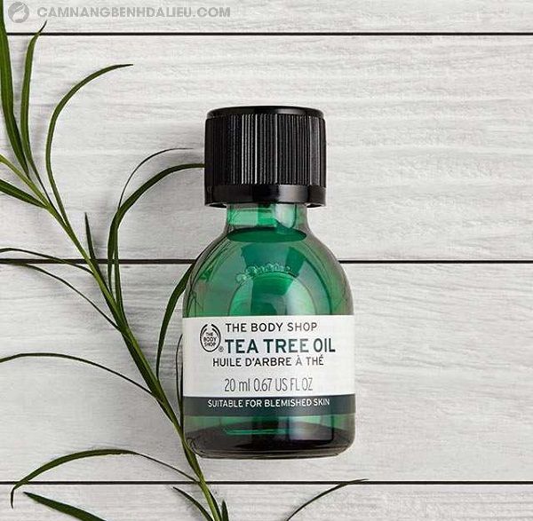 Serum trị mụn Tea tree Oil là sản phẩm của The Body Shop được nhiều chị em yêu thích