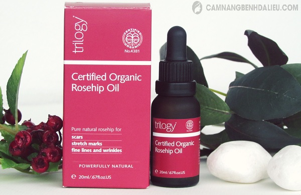 Tinh dầu Rosehip Oil trị rạn da giúp da đàn hồi, căng mịn