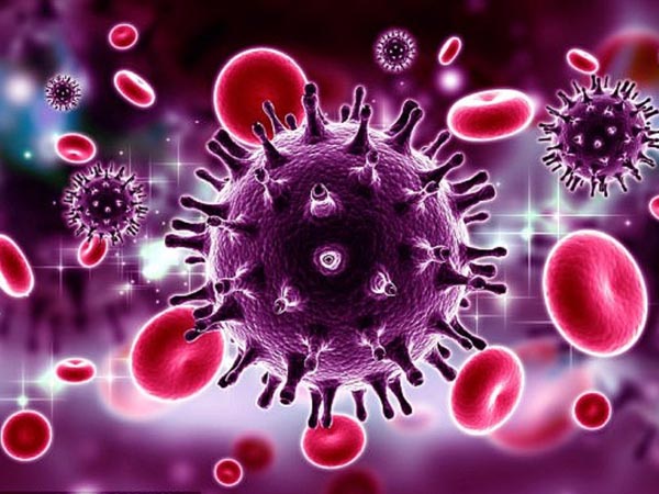 Nguyên nhân bệnh sùi mào gà do virus HPV