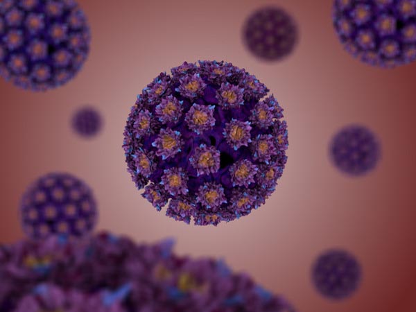 Virus HPV là một trong những nguyên nhân gây ra bệnh sùi mào gà