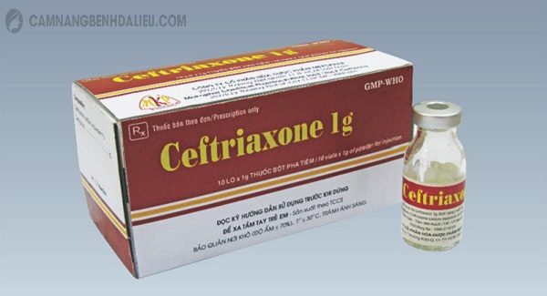 Người bị lậu mãn tính có thể được điều trị bằng thuốc Ceftriaxone trong nhiều ngày