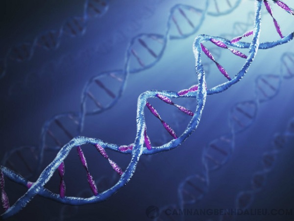 Gen di truyền gây bệnh vảy nến?