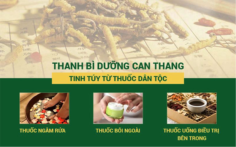 Thanh bì Dưỡng can thang là bài thuốc nổi tiếng trong điều trị viêm da