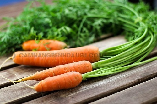 Cách chữa viêm da mủ bằng cà rốt
