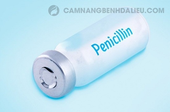Cơ chế tác dụng của thuốc Penicilin