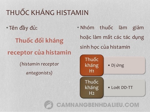 Những công dụng của thuốc kháng histamin