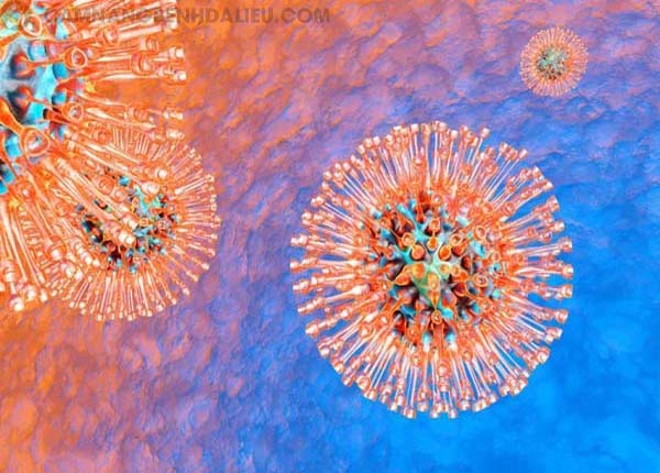 Virus HSV là nguyên nhân chính gây bệnh