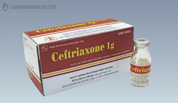 Dùng thuốc Ceftriaxone tiêm bắp điều trị bệnh lậu