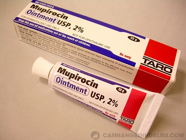 Thuốc Mupirocin trị bệnh chốc lở
