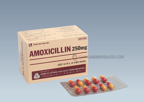 Thuốc Amoxicillin 250mg