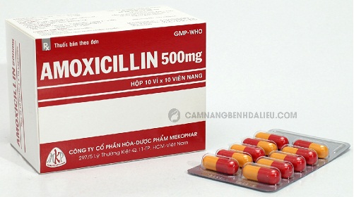 Thuốc Amoxicillin 500mg