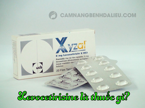 Thành phần và cơ chế hoạt động của thuốc Levocetirizine
