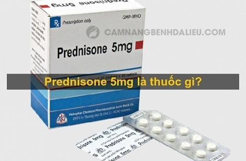 Công dụng của thuốc Prednisone
