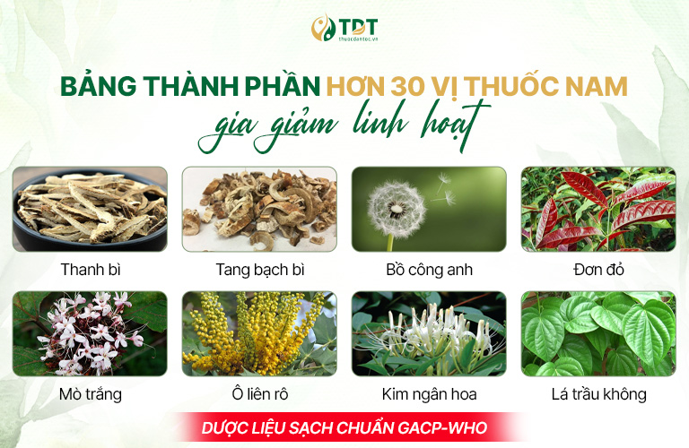 Hơn 30 vị thuốc được phối ngũ theo nguyên tắc "quân, thần, tá, sứ"